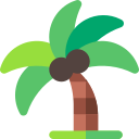 árbol de coco