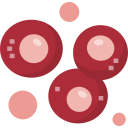 Стволовые клетки