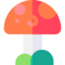 Mushroom