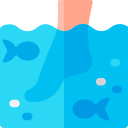 Spa de peixes
