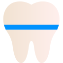 Ortodontista