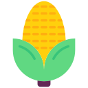 Corn