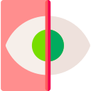 눈 검사
