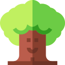 árbol