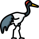 Red crowned crane