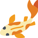 Koi fish