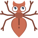 Ant