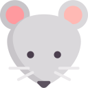 ratón