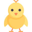 Chick
