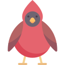 cardinal