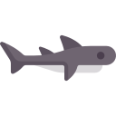 Shark