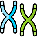 chromosoom