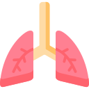 Lungs