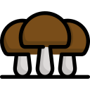 champignon