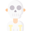 squelette