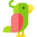 Parrot