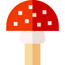 champignon