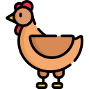 pollo