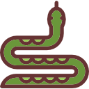 slang
