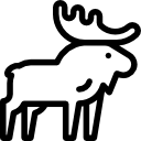 Elk