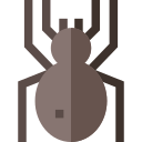 거미