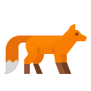 狐