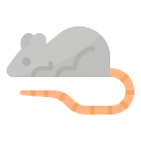 mysz
