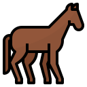 cavalo