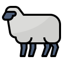 mouton
