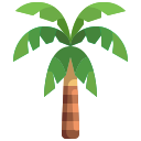 Coconut tree