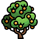albero da frutta