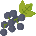 Виноград
