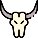 Bull skull