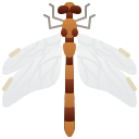 libellula gigante