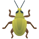 rüsselkäfer
