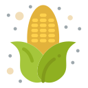 Corn