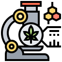 tetrahidrocannabinol