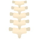 espinha dorsal