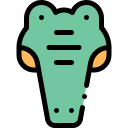 crocodile