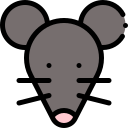 mysz