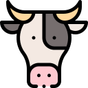 vache