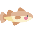 Cod