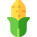 Corn