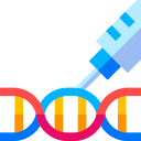 estructura de adn