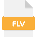 flv 파일
