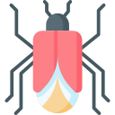 insecte