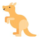 Kangaroo