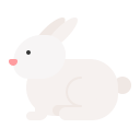 conejo