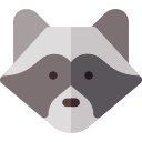 Raccoon