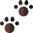 Paw print